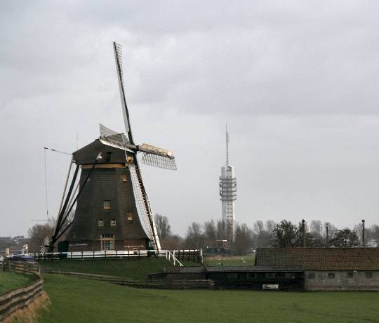 Motten bestrijden