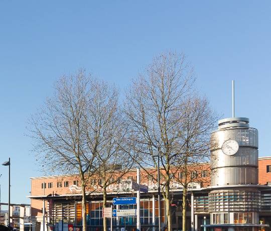 Muizen bestrijden