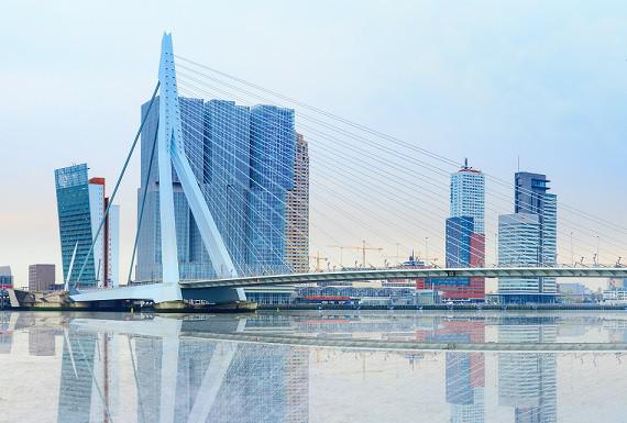 ongediertebestrijding-rotterdam