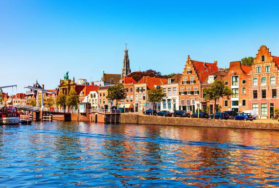 ongediertebestrijding-haarlem