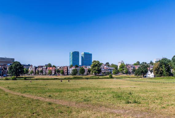 ongediertebestrijding-arnhem