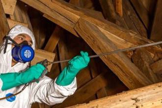 Houtworm: van probleem tot oplossing!